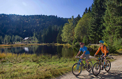 Radfahren im Lamer Winkel